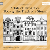 The Track of a Storm (A Tale of Two Cities, Book 3)