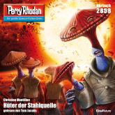 Perry Rhodan 2858: Hüter der Stahlquelle