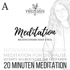 Hörbuch Waldspaziergang gegen Stress - Meditation A - 20 Minuten Meditation  - Autor Christiane M. Heyn   - gelesen von Christiane M. Heyn