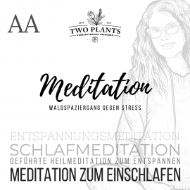 Hörbuch Waldspaziergang gegen Stress - Meditation AA - Meditation zum Einschlafen  - Autor Christiane M. Heyn   - gelesen von Christiane M. Heyn