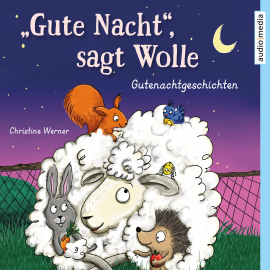 Hörbuch "Gute Nacht", sagt Wolle  - Autor Christine Werner   - gelesen von Stefan Wilkening