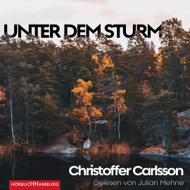 Hörbuch Unter dem Sturm  - Autor Christoffer Carlsson   - gelesen von Julian Mehne