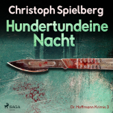 Hundertundeine Nacht - Dr. Hoffmann Krimis 3 (Ungekürzt)