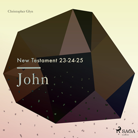 Hörbuch John - The New Testament 23-24-25  - Autor Christopher Glyn   - gelesen von Christopher Glyn