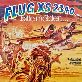 Hörbuch Flug XS 2340 - bitte melden  - Autor Claus Peter Lemmer   - gelesen von Schauspielergruppe