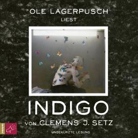 Hörbuch Indigo (Ungekürzt)  - Autor Clemens J. Setz   - gelesen von Ole Lagerpusch