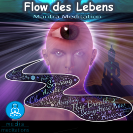 Hörbuch Flow des Lebens  - Autor Cristian Tuerk   - gelesen von Cristian Tuerk