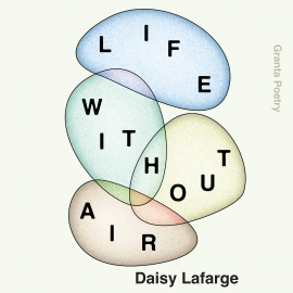 Hörbuch Life Without Air  - Autor Daisy Lafarge   - gelesen von Daisy Lafarge