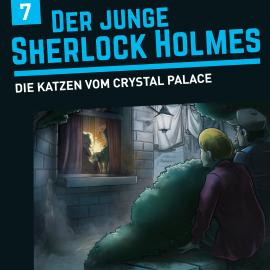 Hörbuch Der junge Sherlock Holmes, Folge 7: Die Katzen vom Crystal Palace  - Autor David Bredel, Florian Fickel   - gelesen von Schauspielergruppe