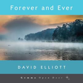 Hörbuch Forever and Ever (Unabridged)  - Autor David Elliott   - gelesen von Schauspielergruppe