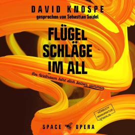 Hörbuch Flügelschläge im All - Im Weltall hört dich keiner summen (ungekürzt)  - Autor David Knospe   - gelesen von Sebastian Seidel