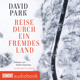 Hörbuch Reise durch ein fremdes Land  - Autor David Park   - gelesen von Stefan Kaminsky