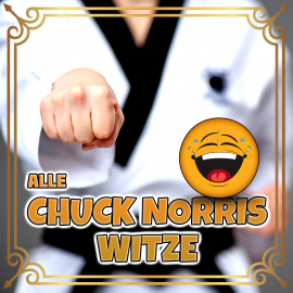 Hörbuch Alle Chuck Norris Witze  - Autor Der Spassdigga   - gelesen von Uwe Lachmann