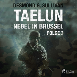 Hörbuch Taelun, Folge 3: Nebel in Brüssel (Ungekürzt)  - Autor Desmond G. Sullivan   - gelesen von Markus Raab