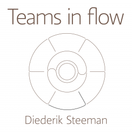 Hörbuch Teams in flow  - Autor Diederik Steeman   - gelesen von Diederik Steeman