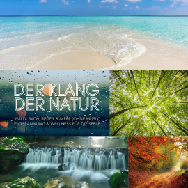 Hörbuch Der Klang der Natur - Wald, Bach, Regen & Meer (ohne Musik) - XXL-Bundle  - Autor Digitales Archiv für Naturgeräusche   - gelesen von Digitales Archiv für Naturgeräusche