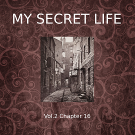 Hörbuch My Secret Life, Vol. 2 Chapter 16  - Autor Dominic Crawford Collins   - gelesen von Dominic Crawford Collins