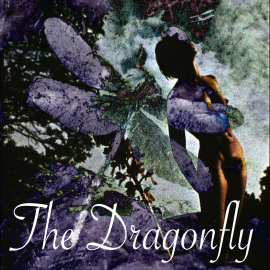 Hörbuch The Dragonfly  - Autor Dominic Crawford Collins   - gelesen von Schauspielergruppe