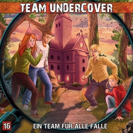Hörbuch Ein Team für alle Fälle (Team Undercover 16)  - Autor Dominik Ahrens   - gelesen von Schauspielergruppe