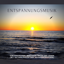 Hörbuch Traumhafte Entspannungsmusik mit Naturgeräuschen und Naturklängen in 432 Hz  - Autor Dr. Jeffrey Thiers   - gelesen von Timm Körber