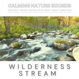 Hörbuch Peaceful Water Sounds With Deep Forest Ambiance: Wilderness Stream & Babbling Brook  - Autor Dr. Laurence Goldman   - gelesen von Neil Tennant