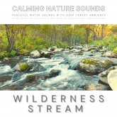 Peaceful Water Sounds With Deep Forest Ambiance: Wilderness Stream & Babbling Brook