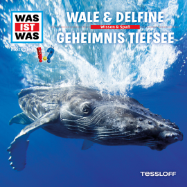 Hörbuch 13: Wale & Delfine / Geheimnis Tiefsee  - Autor Dr. Manfred Baur   - gelesen von Schauspielergruppe