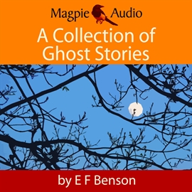 Hörbuch A Collection of Ghost Stories  - Autor E. F. Benson   - gelesen von Greg Wagland