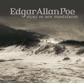 Sturz in den Mahlstrom (Edgar Allan Poe 5)
