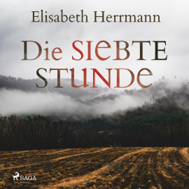Hörbuch Die siebte Stunde: Joachim Vernau 2 - Kriminalroman  - Autor Elisabeth Herrmann   - gelesen von Herbert Schäfer
