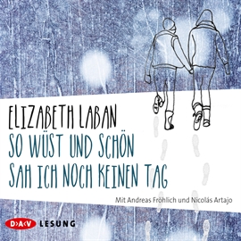 Hörbuch So wüst und schön sah ich noch keinen Tag  - Autor Elizabeth LaBan   - gelesen von Andreas Fröhlich