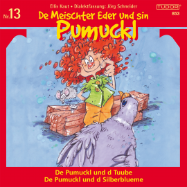 Hörbuch De Meischter Eder und sin Pumuckl, Nr. 13  - Autor Ellis Kaut   - gelesen von Schauspielergruppe