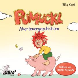 Hörbuch Pumuckl - Abenteuergeschichten  - Autor Ellis Kaut   - gelesen von Stefan Kaminski