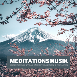 Hörbuch Meditationsmusik  - Autor Emmanuel Durand   - gelesen von Jobst Diekmann