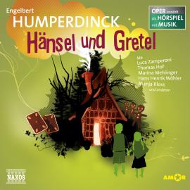 Hörbuch Hänsel und Gretel - Oper erzählt als Hörspiel mit Musik  - Autor Engelbert Humperdinck   - gelesen von Schauspielergruppe