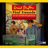 Hörbuch Fünf Freunde und das Schildkrötengeheimnis  - Autor Enid Blyton   - gelesen von Rosemarie Fendel