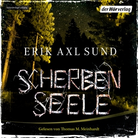 Hörbuch Scherbenseele  - Autor Erik Axl Sund   - gelesen von Thomas M. Meinhardt