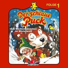 Hörbuch Der schlaue Puck, Folge 1: Das Wichtelmännchen im Winterwald  - Autor Erika Burk   - gelesen von Schauspielergruppe
