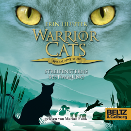 Hörbuch Warrior Cats - Special Adventure 4. Streifensterns Bestimmung  - Autor Erin Hunter   - gelesen von Marian Funk