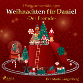 Weihnachten für Daniel - Der Fremde
