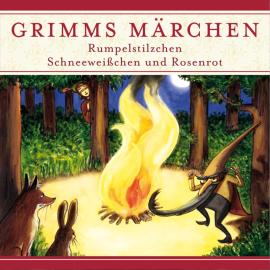 Hörbuch Grimms Märchen, Rumpelstilzchen/ Schneeweißchen und Rosenrot  - Autor Evelyn Hardey   - gelesen von Schauspielergruppe