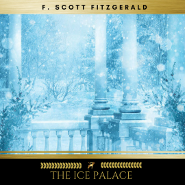 Hörbuch The Ice Palace  - Autor F. Scott Fitzgerald   - gelesen von Damien Delaney