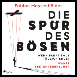 Hörbuch Die Spur des Bösen  - Autor Fabian Maysenhölder   - gelesen von Sebastian Dunkelberg