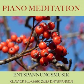 Hörbuch Piano Meditation – Entspannungsmusik  - Autor Filip Lundqvist   - gelesen von Filip Lundqvist