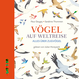 Hörbuch Vögel auf Weltreise - Alles über Zugvögel  - Autor Fleur Daugey.   - gelesen von Julian Horeyseck