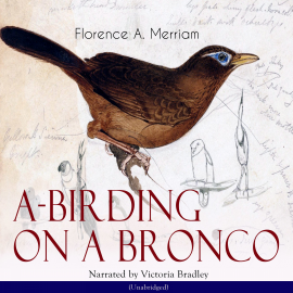 Hörbuch A-Birding on a Bronco  - Autor Florence A. Merriam   - gelesen von Victoria Bradley