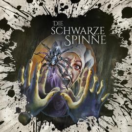 Hörbuch Holy Horror, Folge 35: Die schwarze Spinne  - Autor Florian Hilleberg   - gelesen von Schauspielergruppe