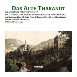 Hörbuch Das alte Tharandt  - Autor Frank Fröhlich   - gelesen von Lars Jung