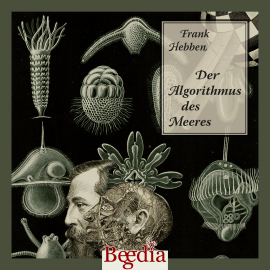 Hörbuch Der Algorithmus des Meeres  - Autor Frank Hebben   - gelesen von Clemens Weichard