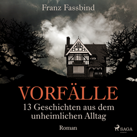 Hörbuch Vorfälle. 13 Geschichten aus dem unheimlichen Alltag  - Autor Franz Fassbind   - gelesen von Waldemar Müller